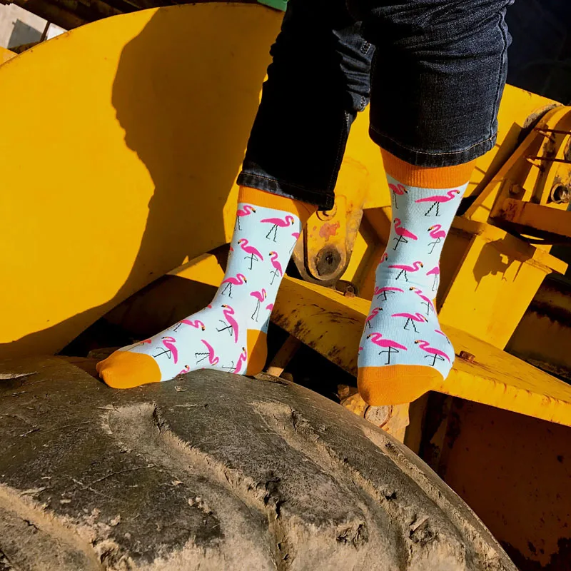 MYORED male socks 5 pairs/lot bright colorful men's crew socks cartoon funny bird pattern man casual dress Calcetines de hombre