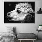 Ретро животное голова холст живопись черный и белый Альпака постер украшение дома фотографии гостиной спальни настенная живопись