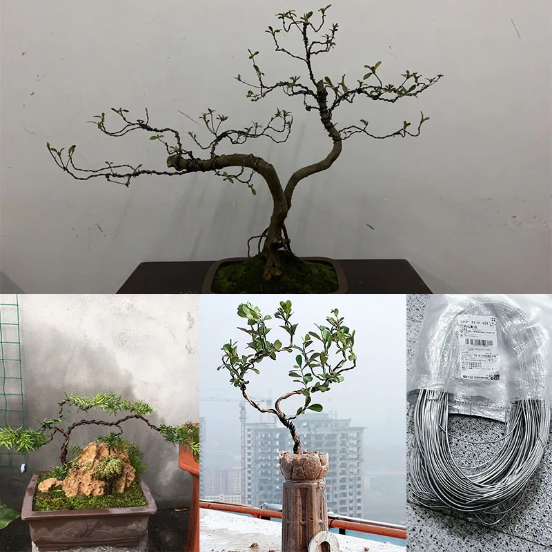 Провода Bonsai алюминиевые провода для тренировок бонсай разных размеров 2 3 4 5 6 мм