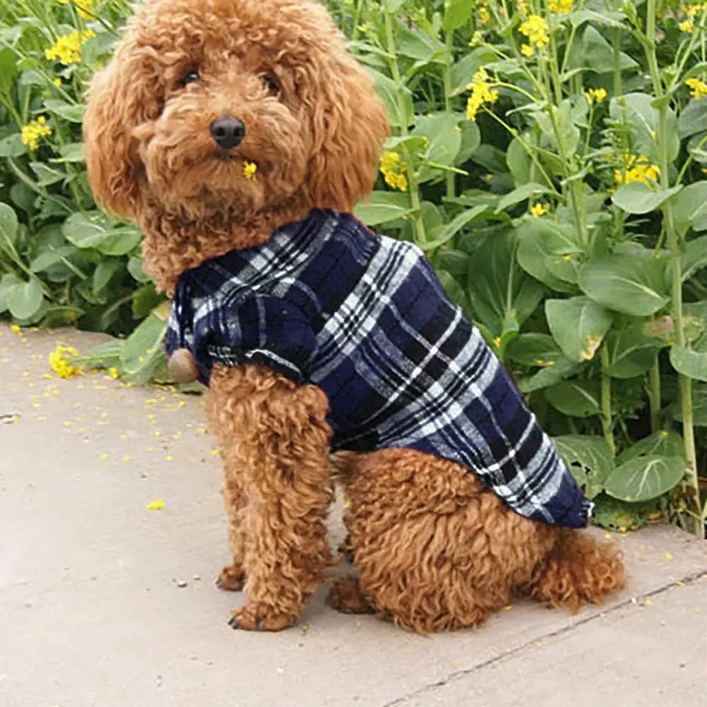 Футболка с принтом в полоску для щенков кошек маленьких и средних собак | Дом сад