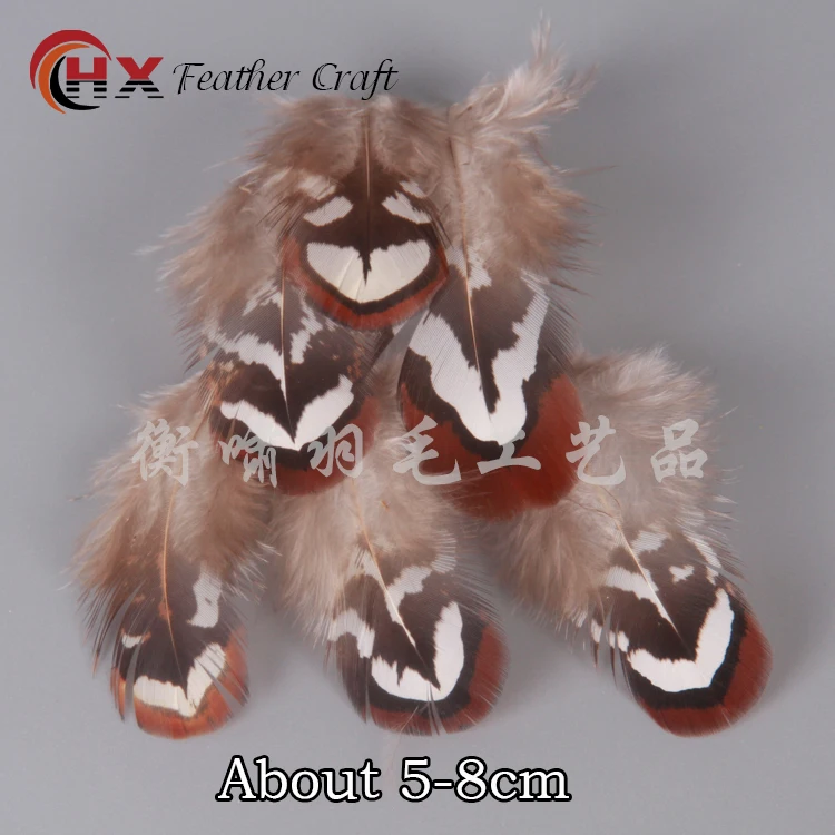 Перья страусиного фазана для рукоделия сделай сам натуральные перья павлина