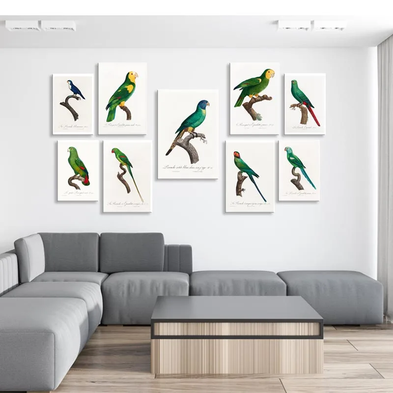 Желтая Настенная картина с плечами в виде попугая искусство на холсте