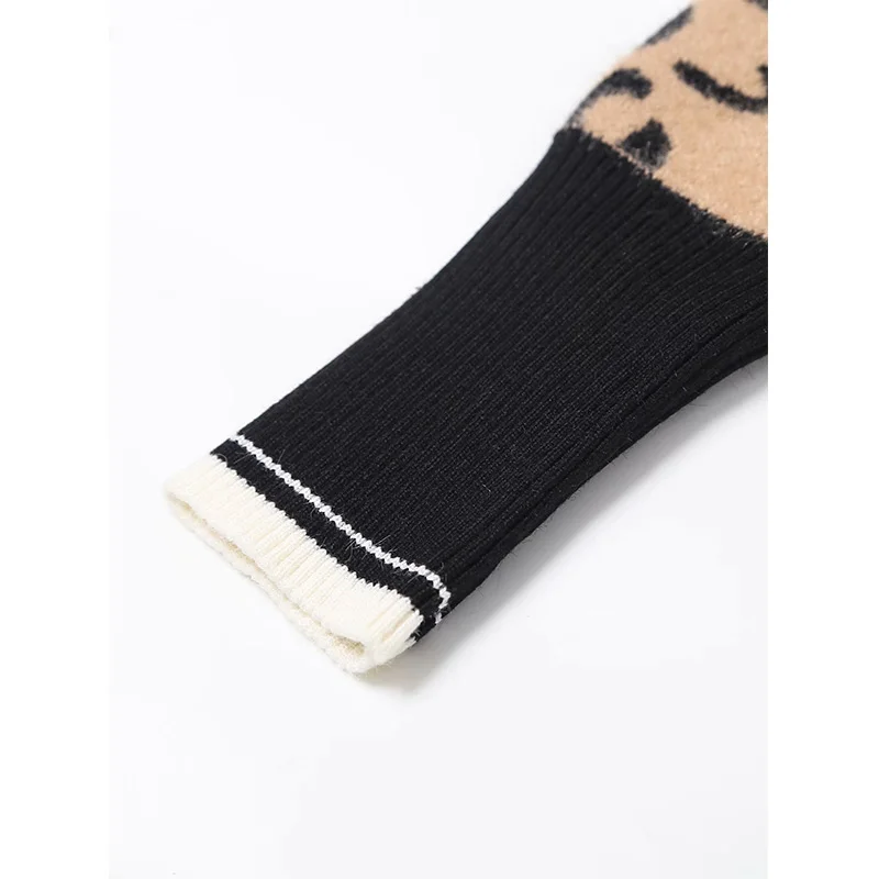 

2020 Autumn New Women's Sweater Leopard Printed Long Sleeves V-Neck Sweater Female Fashion Casual Women Clothes