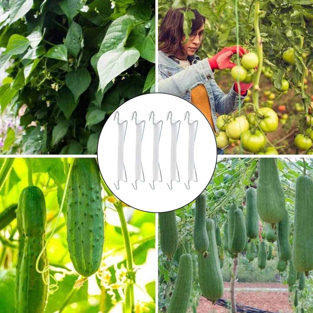 

5PCS Tomato Support Hooks Vine Tie Support Garden Tomato Plant Growth Rope Hook For Gardening Vegetables Fruits Vine Tie Support