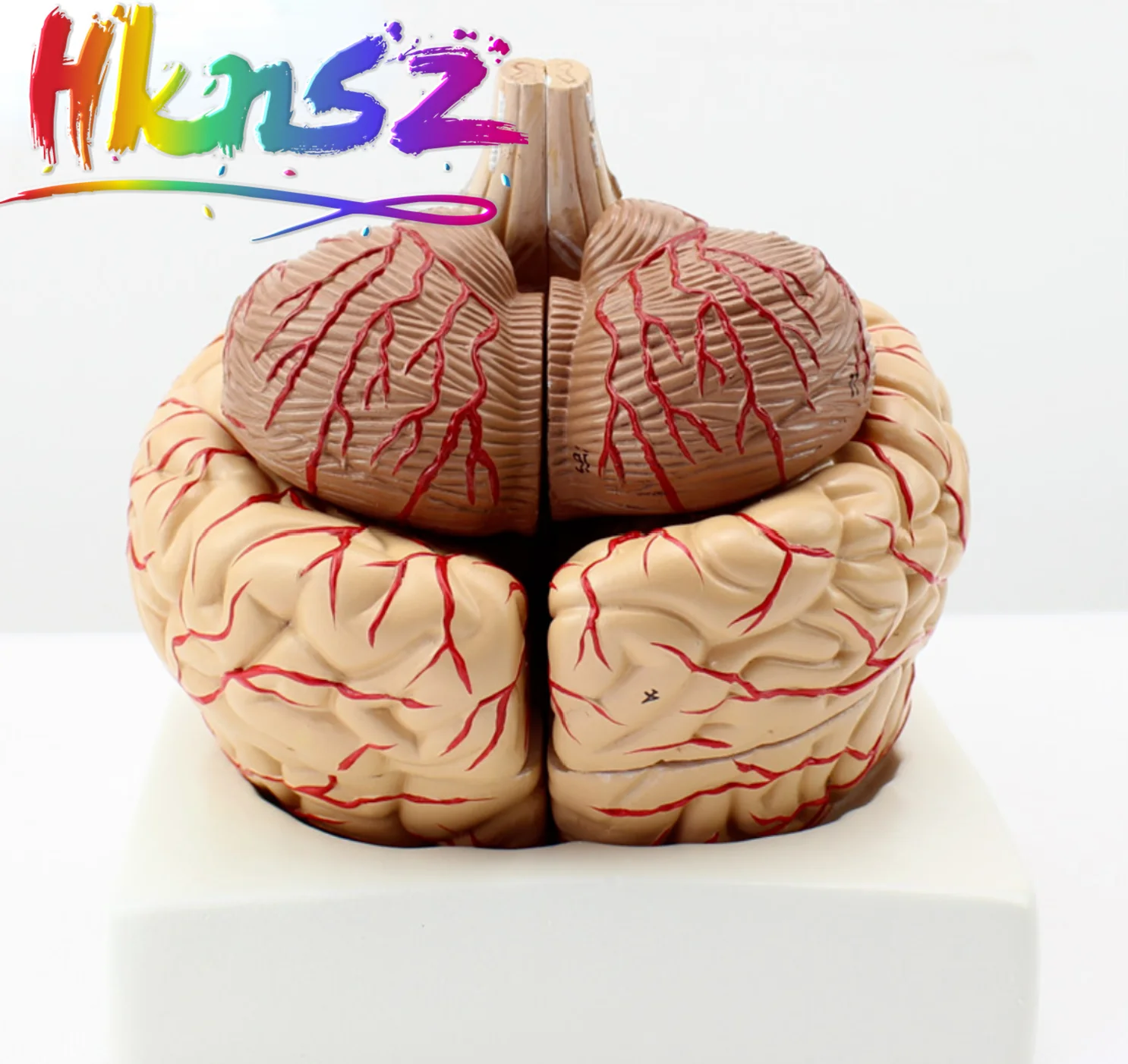 

Educational Equipment & Supplies