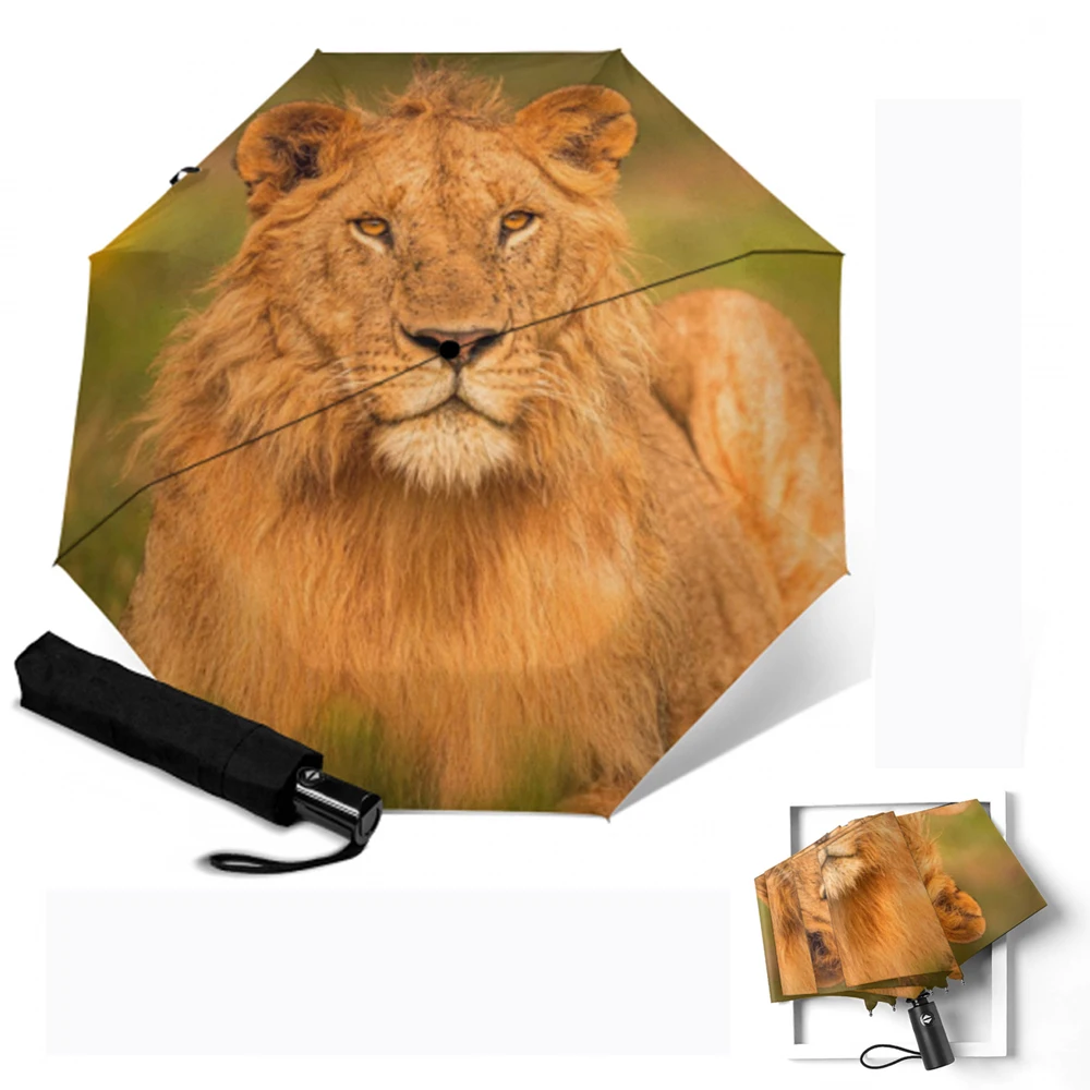 Полностью автоматический зонт женские зонты зонтик от солнца и дождя для улицы