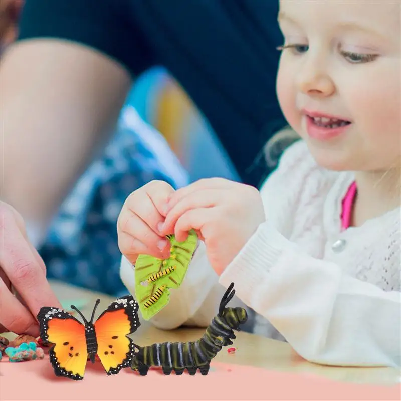 

4pcs Funny Insect Life Cycle Figurines Butterflies Ornaments for Kids Playing