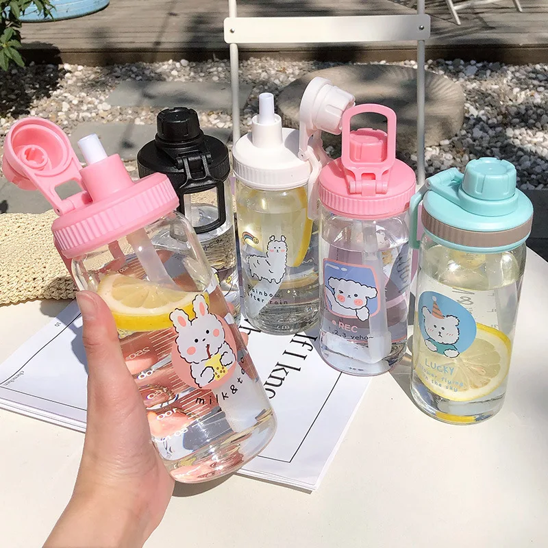 

500ml Cartoon Glass Water Bottles For Girls BPA Free Creative Frosted Water Bottle With Portable Rope Travel Mug Coffee Tea Cup