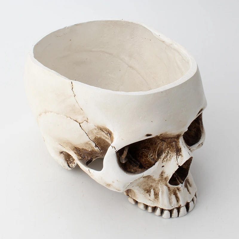 Skull Flower Pot Artware Resin Storage Box For Snack Ashtray Flowerpot Fruit Tray Tank Home Sculpture Statue Decoration | Дом и сад