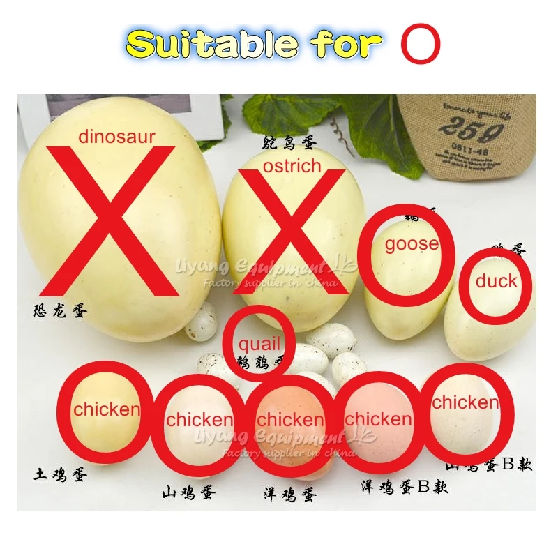 Сборный робот для рисования яиц Шариковая машина игрушки творчества USB