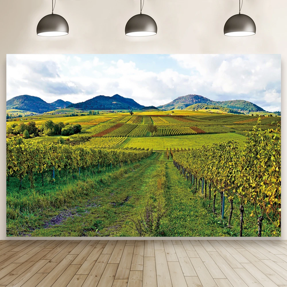 

Laeacco Natural Landscape Photography Background Green Idyllic Mountain Blue Cloud Room Decor Portrait Backdrop For Photo Studio