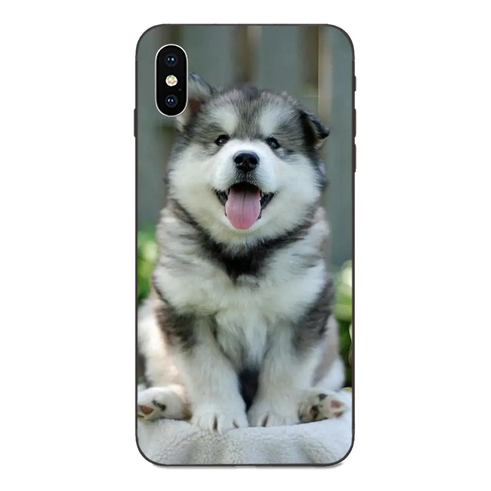 as picture Мягкий чехол для Huawei Honor 5A 6A 6C 7A 7C 7X 8A 8C 8X9 10 P8 P9 P10 P20 P30 Мини Lite Plus самоед милая собака - Цвет: as picture