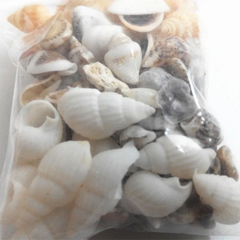 40pcs Beautiful Beach Mixed Sea Shell Real Mix Starfishes Shells Craft SeaShell Aquarium Decal Decor Crafts | Дом и сад