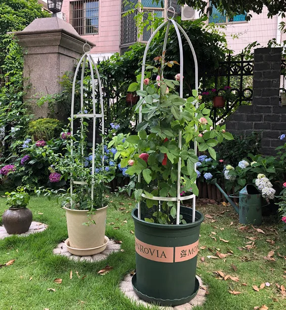 Садовая жизнь арка цветочная рама колонна виноградная сад опора для растений