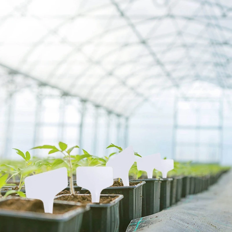 

200 Pcs 6 X 10 Cm Plant T-Type Tags & 1 Set Plant Nursery Pots with Label