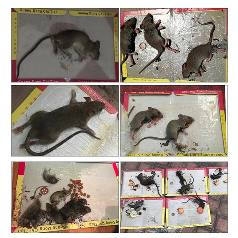 

10 PCS StickyMouse Board Mice Glue Trap High Effective Rodent Rat Snake Bugs Catcher Pest Control Reject Non-toxic Eco-Friendly