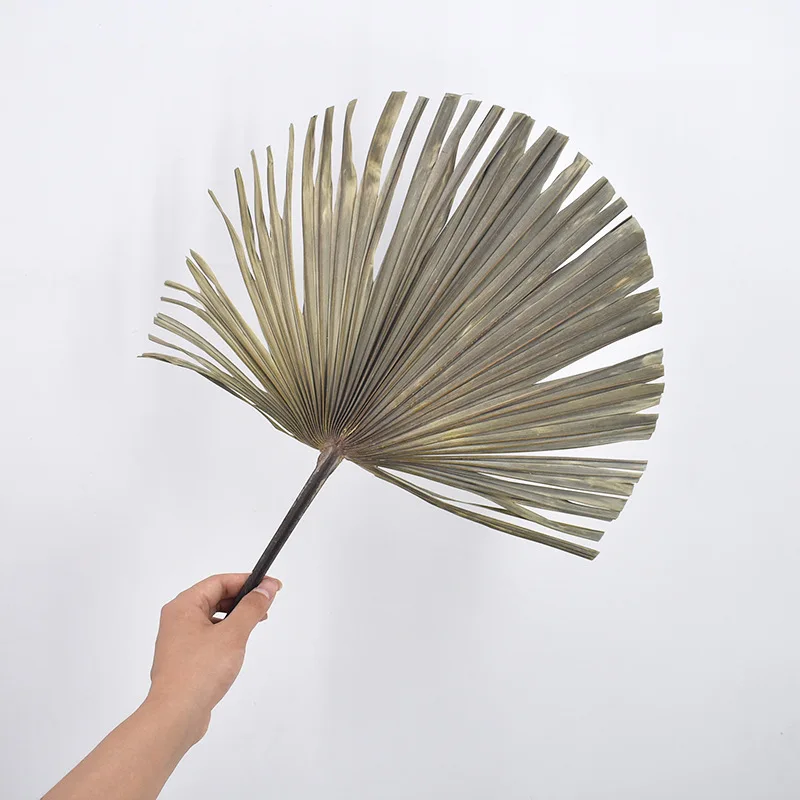 Сушеные цветы пальмовые веерные листья подсолнечника украшение для дома окна