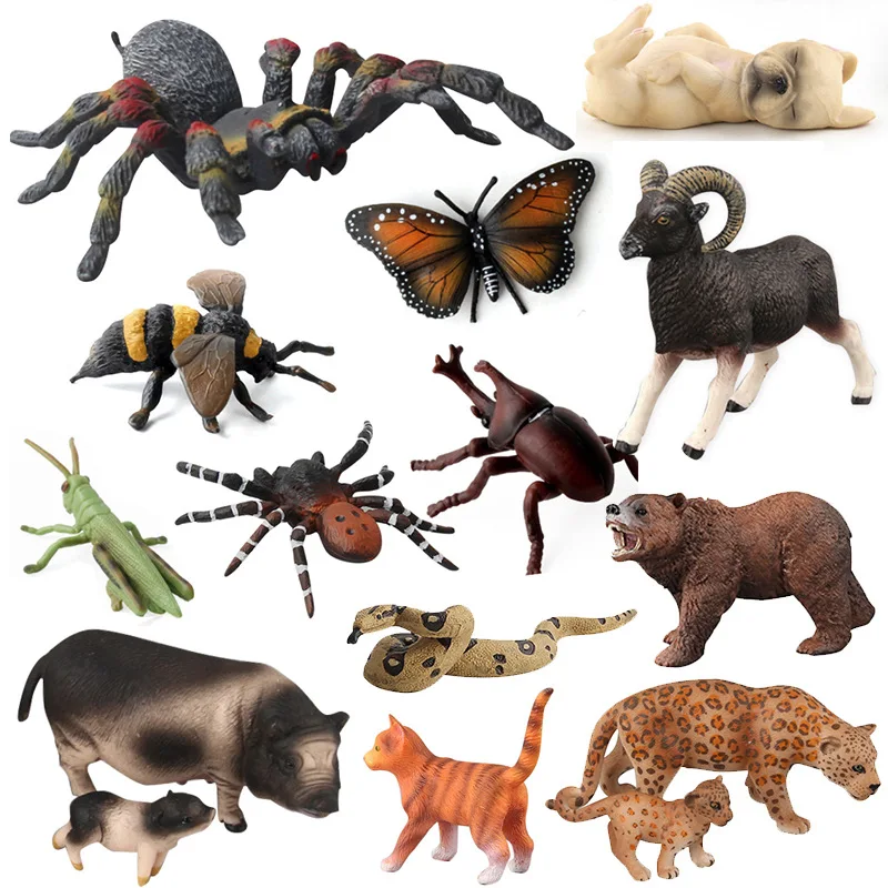 Зоопарк дикая ферма животные Морская жизнь Акула КИТ медведь панда тигр лев