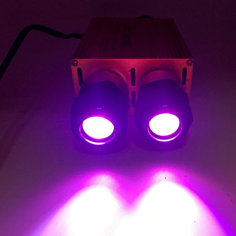 Золотая алюминиевая двойная головка 2*16 Вт светодиодный волоконно оптический