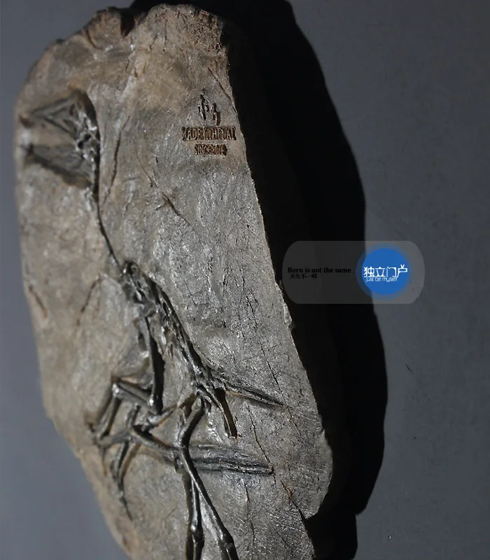 

American Style Rural Resin Simulation Personality Jurassic World Dinosaur Pterosaur Fossil Soft Wall Mounted