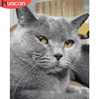 HUACAN DIY картина по номерам животных картина по номерам кошка рисунок на холсте Ручная роспись искусство подарочные комплекты, украшение для дома