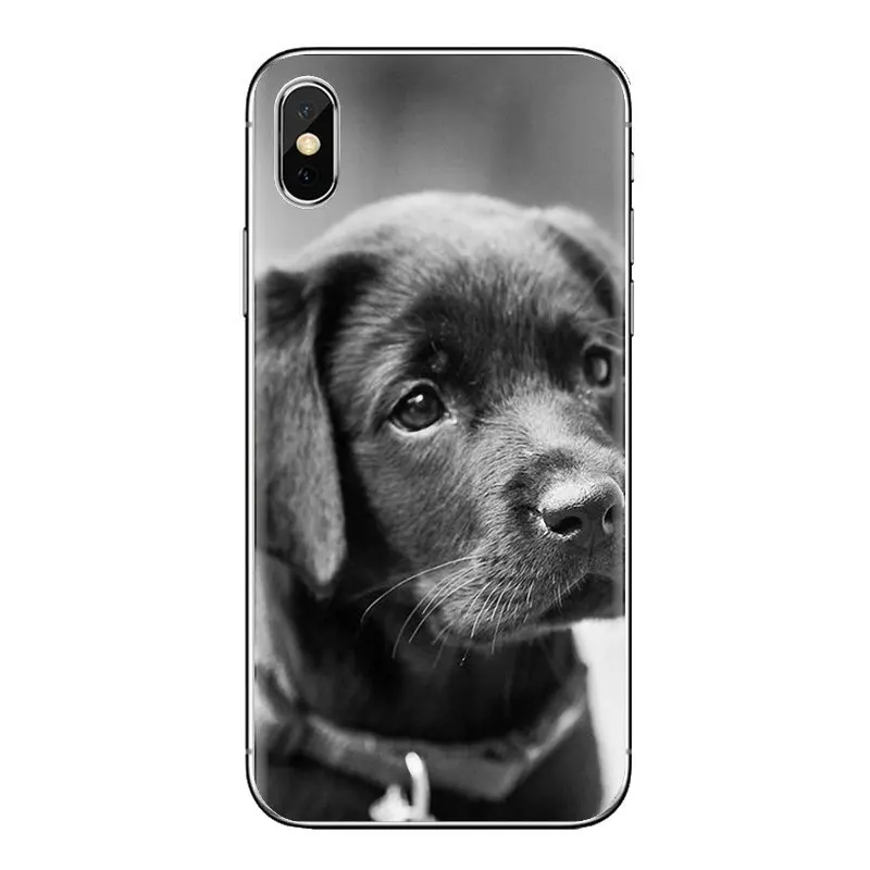 Transparent Soft Shell Covers For Xiaomi Redmi 4A S2 Note 3 3S 4 4X 5 Plus 6 7 6A Pro Pocophone F1 The Labrador Retriever dogs |