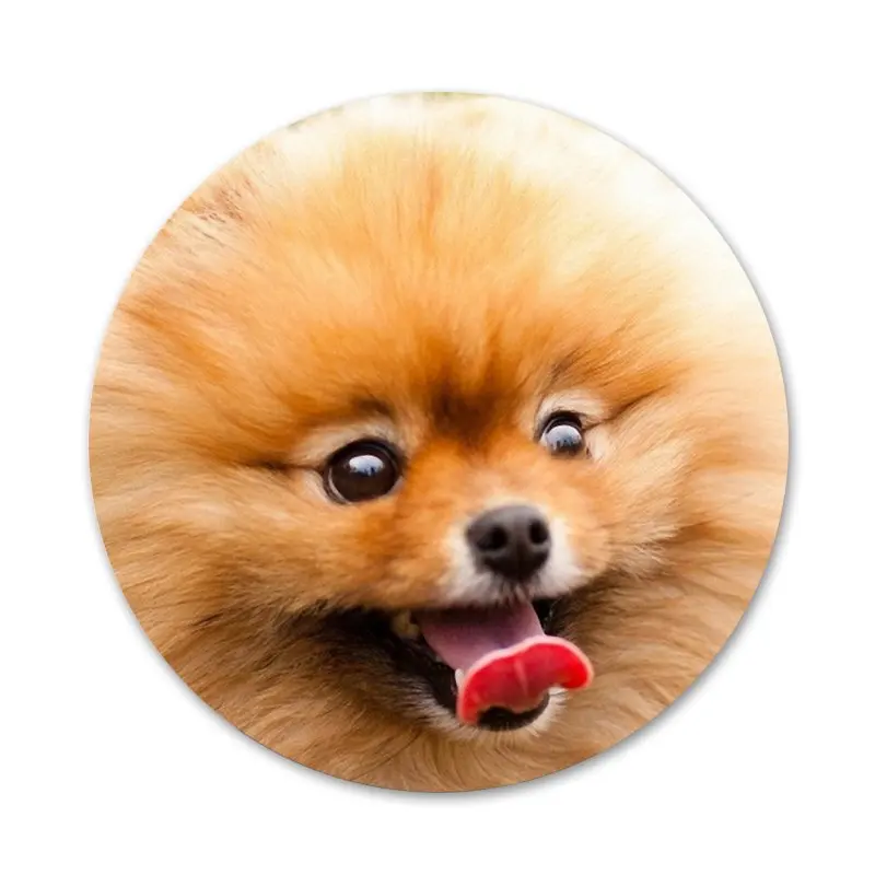 Своего померанского шпица значок с собакой брошь заколка аксессуары для одежды