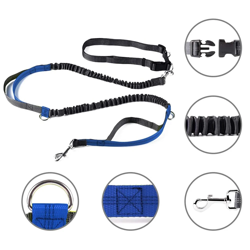 Retractable HandsFree Dog Leash Wild For Adventure Gear