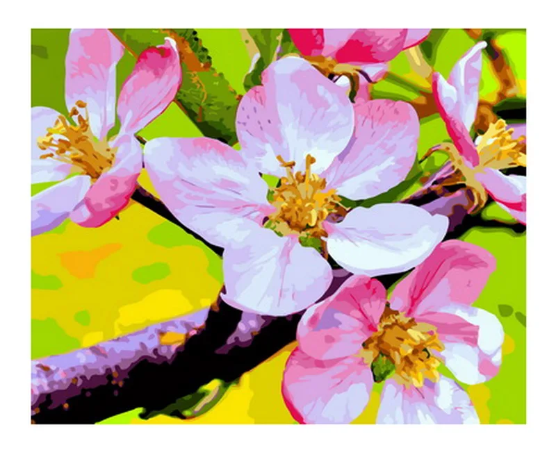 

Набор для рисования по номерам на холсте, без рамки, 4050 см