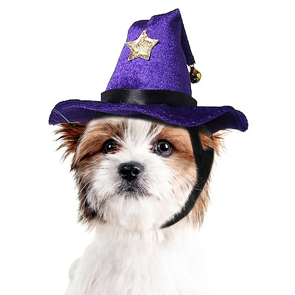 

Забавные костюмы для домашних животных на Хэллоуин, шляпа ведьмы вечерние, аксессуары для костюма, фиолетовая велюровая шляпа для костюма н...