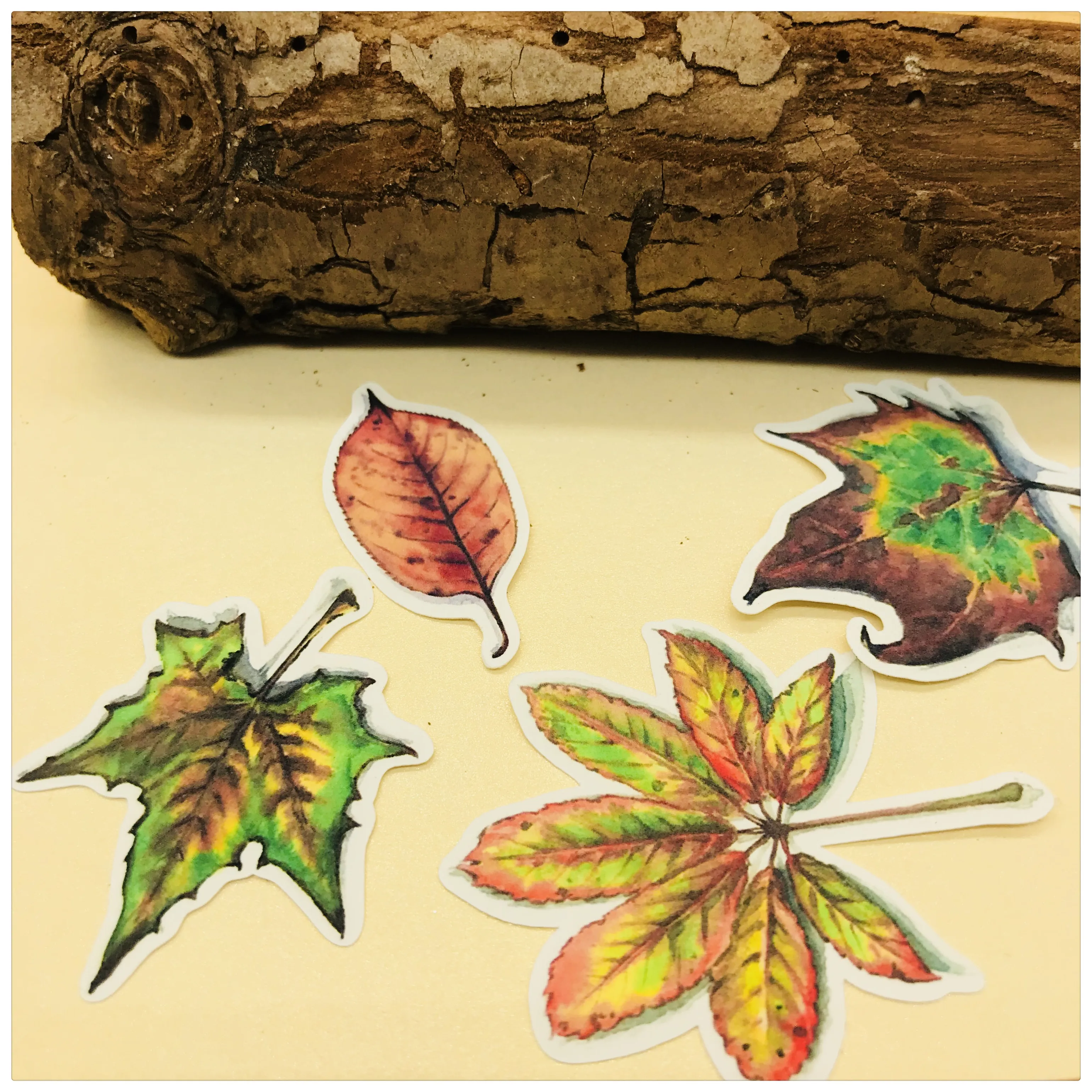 34 шт. руководство стикеров лист Справочник осенними листьями наклейки альбом