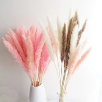20pcs 3 color available rawpinkwhite color small pampas grass phragmitesreed flowersbulrush flowers for wedding decor