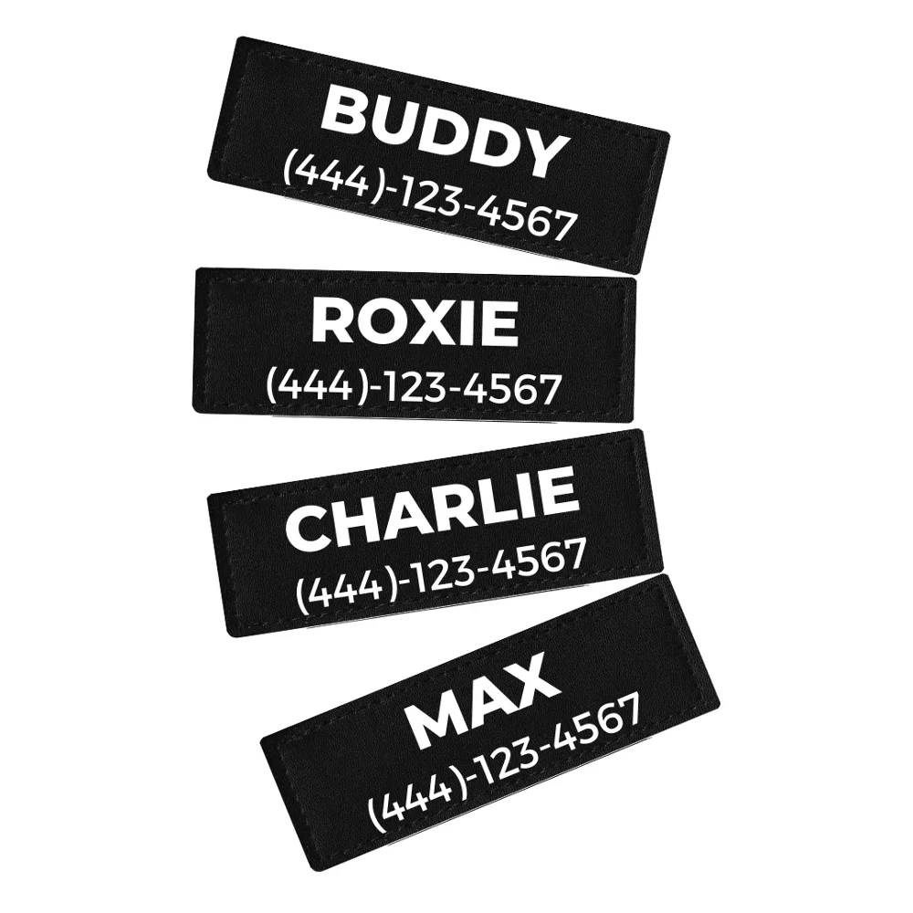 Комплект из 2 предметов с рисунком собачки жгут имя на липучке поводок для собак