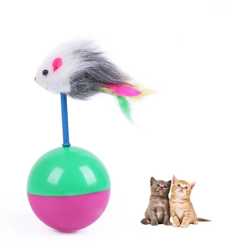 

Jouets Durables Pour Chat, Souris en Fourrure, Gobelet, Chaton, Dalles de jeu en plastique pour attraper Des Chats, Fournitures