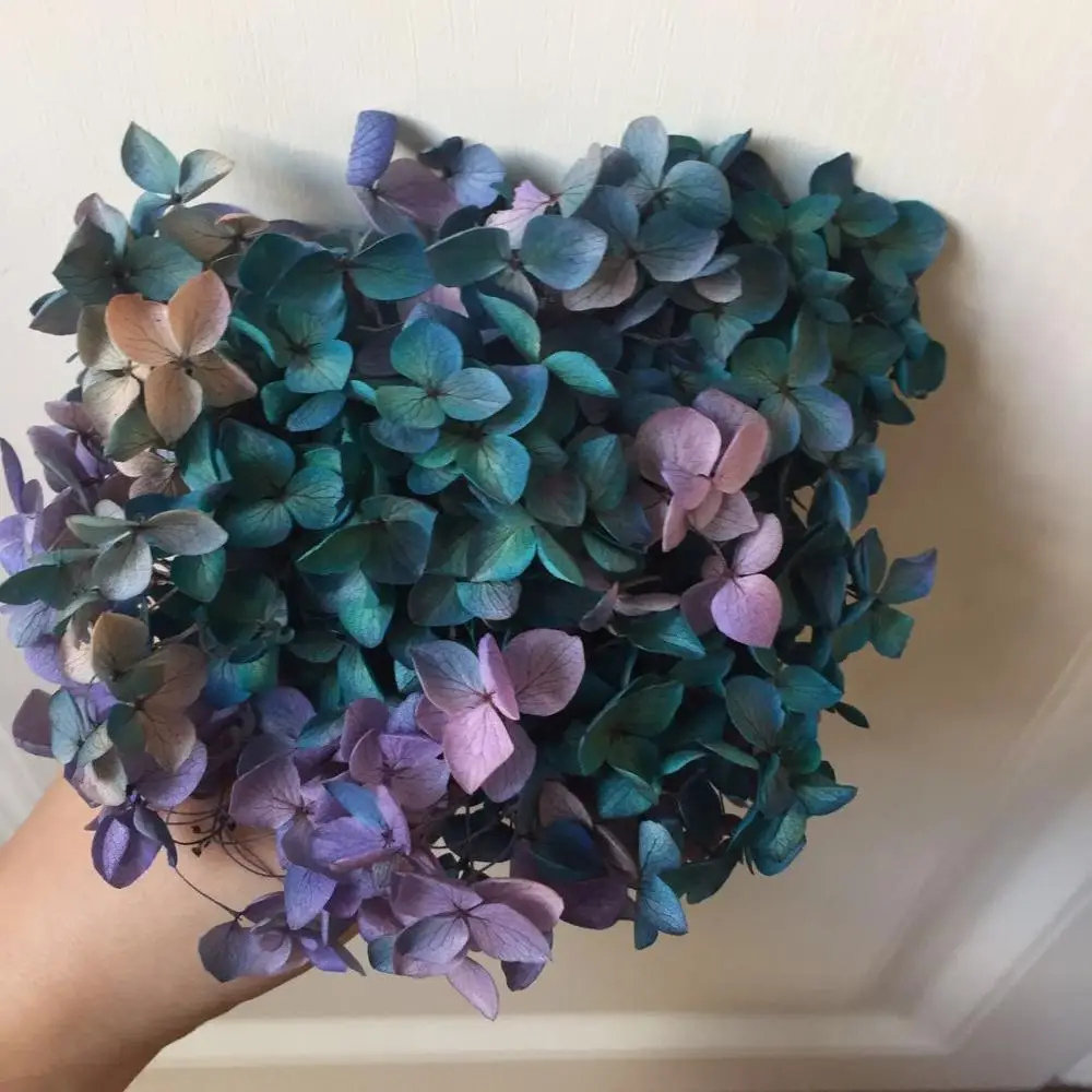 10 г/лот высококачественный сохраненный цветок Анны гортензии натуральный для