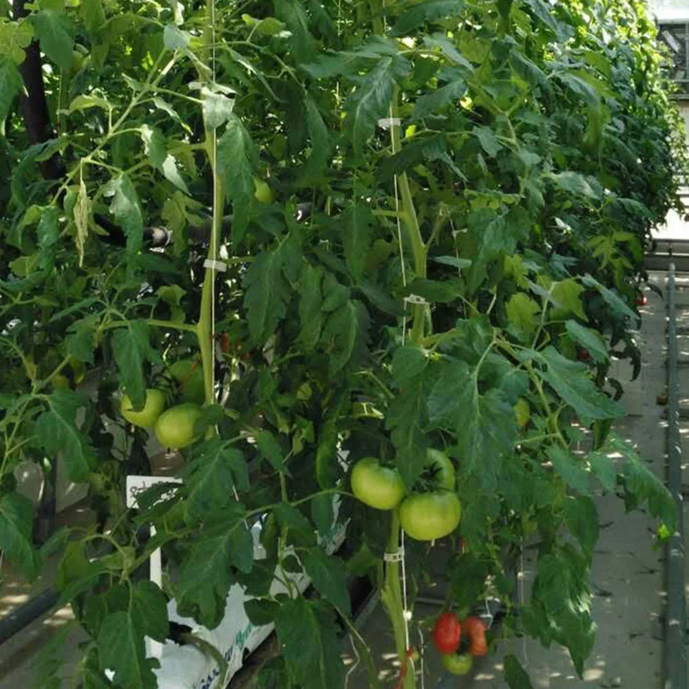 

1pcs Plant vegetable hook Plant growth puller Hook Tomato Support Clips Vegetable Support Prevent Tomatoe from Pinching