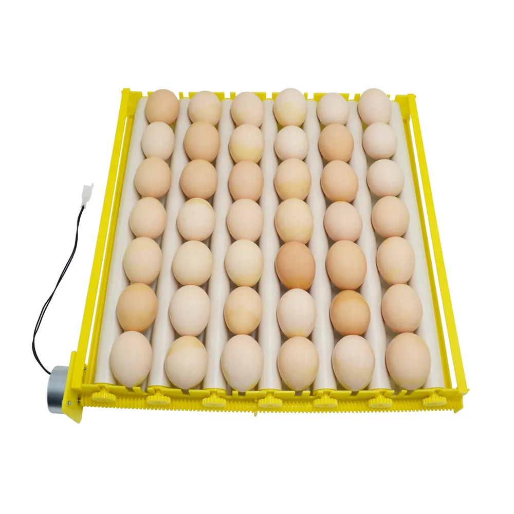 Aves de Capoeira Incubação com Motor Transformar os Ovos Rolo Bandeja Venda Quente Codorna Ganso Frango Pato Pássaro Ovos Fazenda Ovo