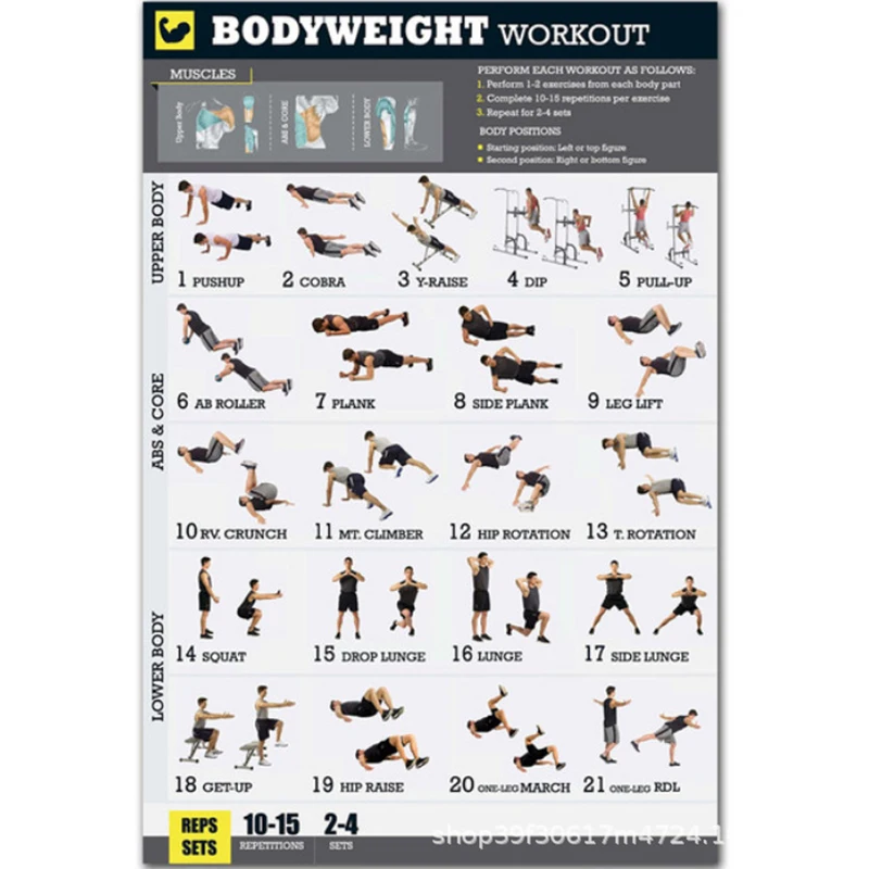 

Bodyweight Exercise Poster Set Laminated 2 Chart Set Men and Women Body Weight Workouts for Home GYM Fitness