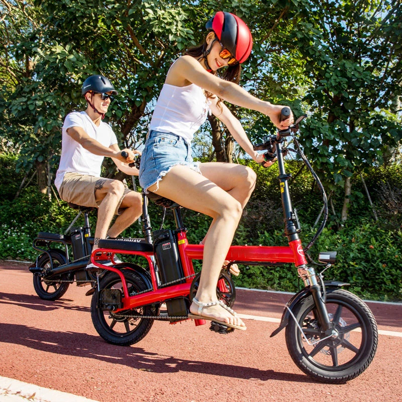 

Electric Bicycle City Bike Folding Electric Bicycle Power-Assisted Electric Mountain Bike 48V12Ah Lithium Battery