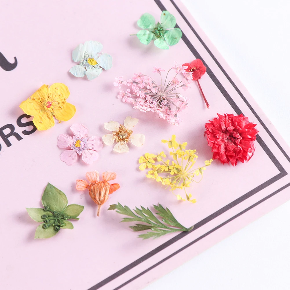 Многоцелевой Маникюр 12 цветов 3D настоящие сушеные цветы УФ гель акриловые