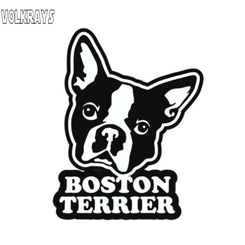 

Volkrays Creative Car Sticker Boston Terrier Accessories Reflective Waterproof Cover Scratches Sunscreen Vinyl Decal,11cm*8cm