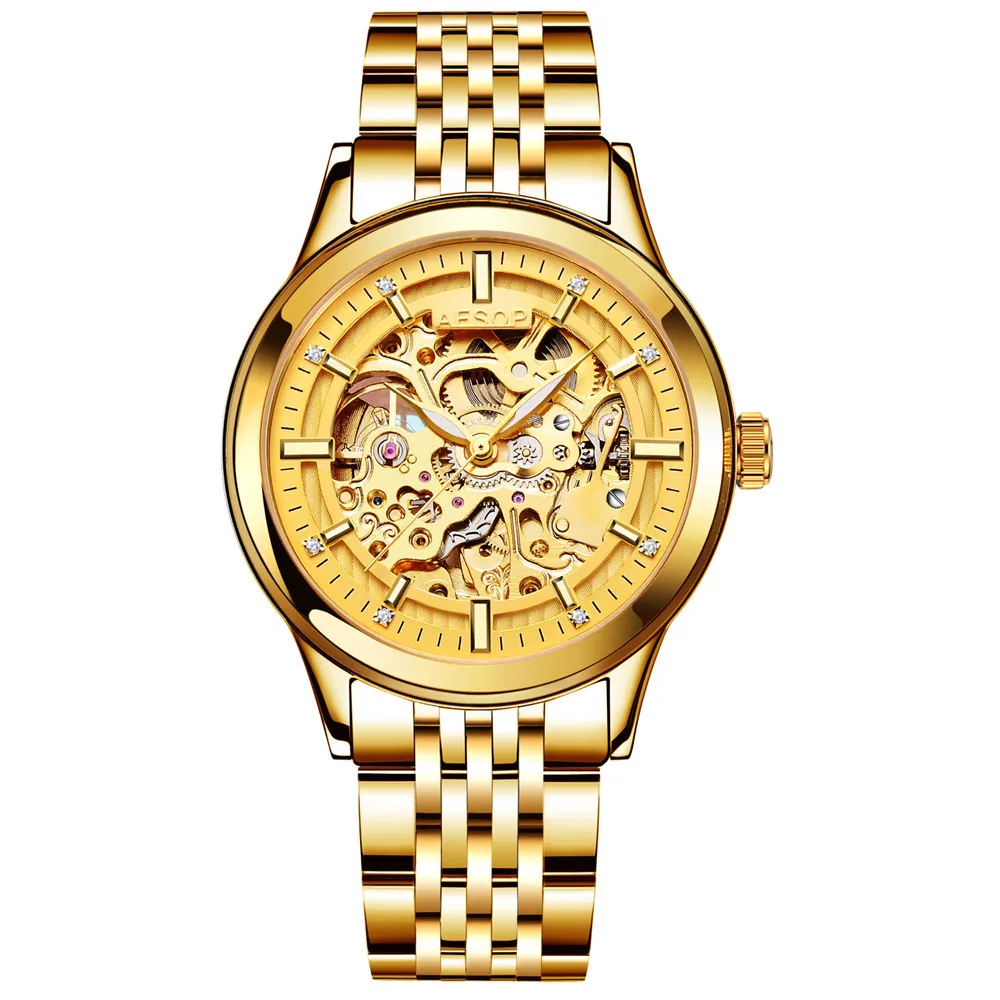 AESOP Skeleton Automatic Mechanical Wrist Watch Men Gold Skeleton Man Clock Mens Watches Top Brand Luxury Relogio Masculino
