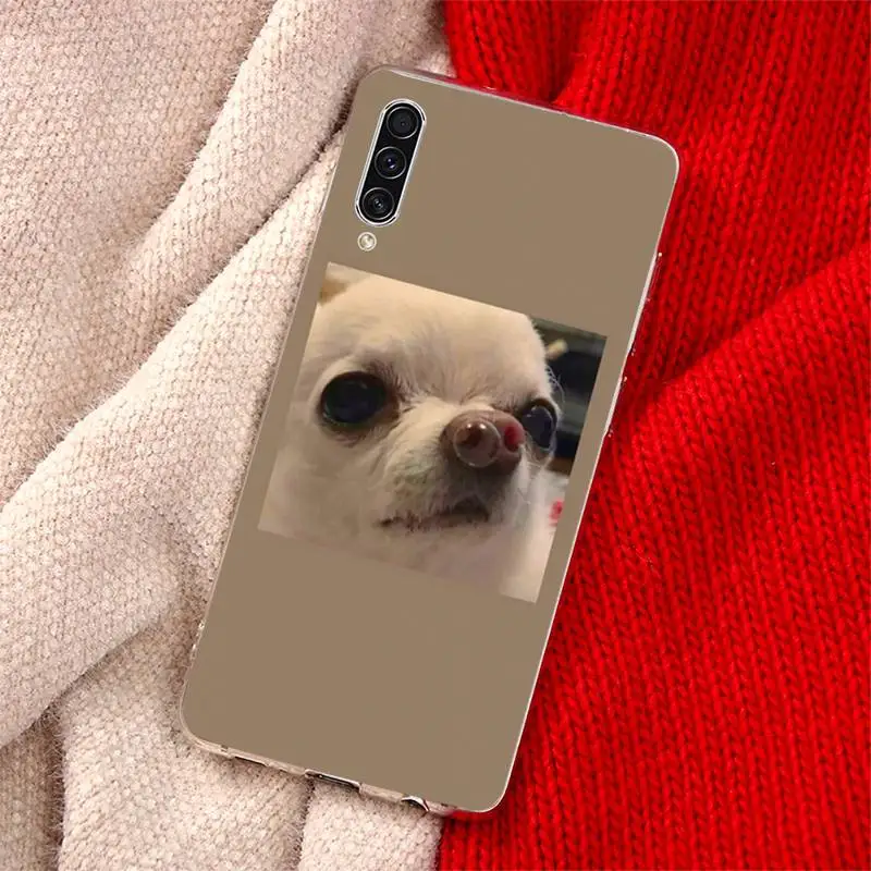 

Cute funny animal cat Phone Case For Samsung Galaxy S5 S6 S7 S8 S9 S10 S10e S20 edge plus lite