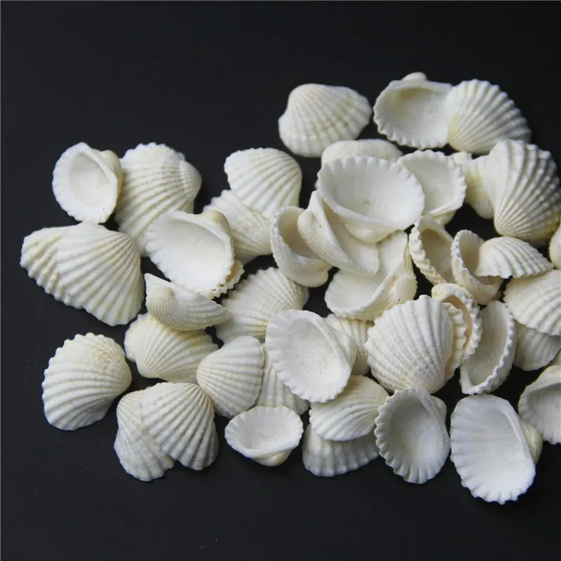 Случайный стиль 200 г натуральный корпус миниатюрный пейзаж украшение аквариума