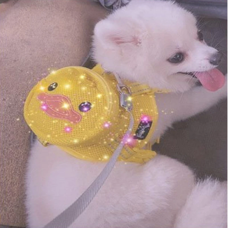 Жилет для домашних животных нагрудный ремень мультяшный рюкзак собак два