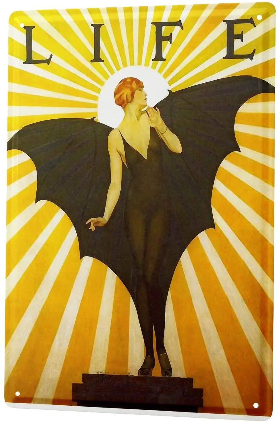 

SINCE 2004 Tin Sign Metal Plate Decorative Sign Home Decor Plaques 30 x 40 cm Nostalgic Motif Life Woman Vampire Wings