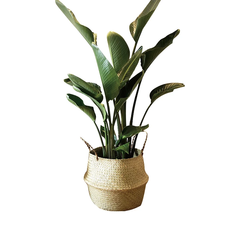 Новые корзины из ротанга Складная плетеная ручка круглый натуральный морской