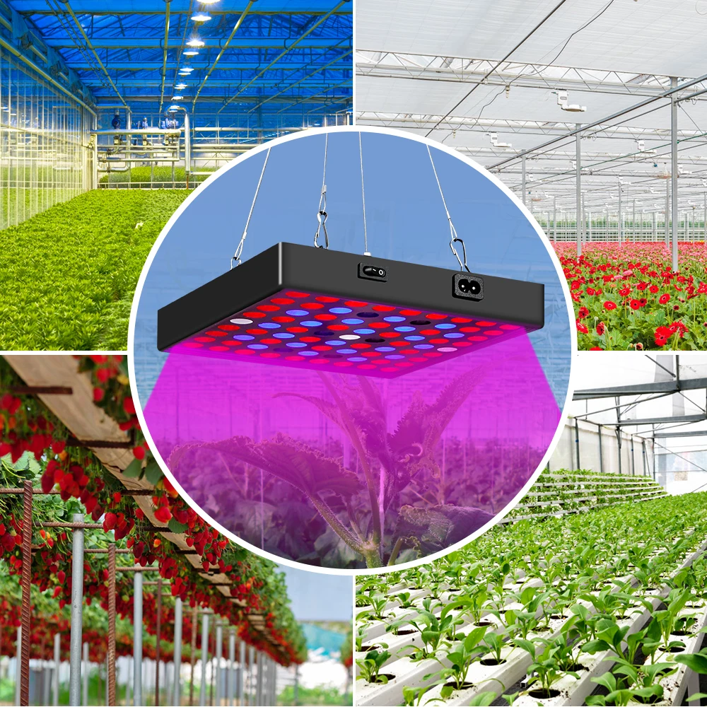 LED Grow Light 20W 40W Full Spectrum Plant Lamp 30W 50W Indoor Growing Lamps Phyto For Seedling Greenhouse Lighting | Освещение