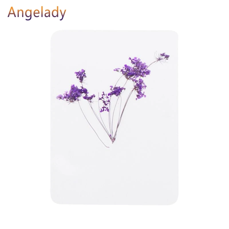 Смешанный прессованный цветок листья образец растения наполнитель для