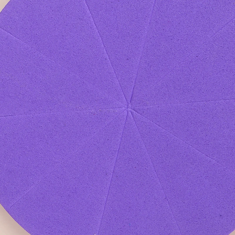 

Rainbow Sponge Round Fraction Tiles Early Education Learning Counting Math Toy